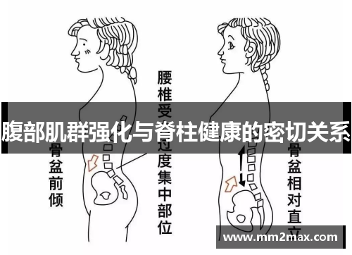 腹部肌群强化与脊柱健康的密切关系 腹部肌群强化与脊柱健康的密切关系