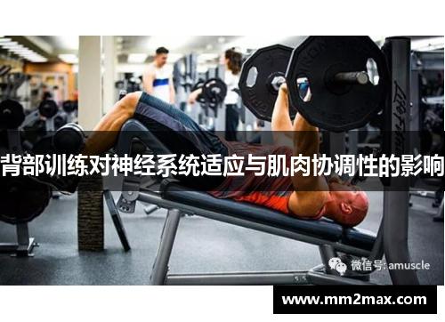 背部训练对神经系统适应与肌肉协调性的影响 背部训练对神经系统适应与肌肉协调性的影响